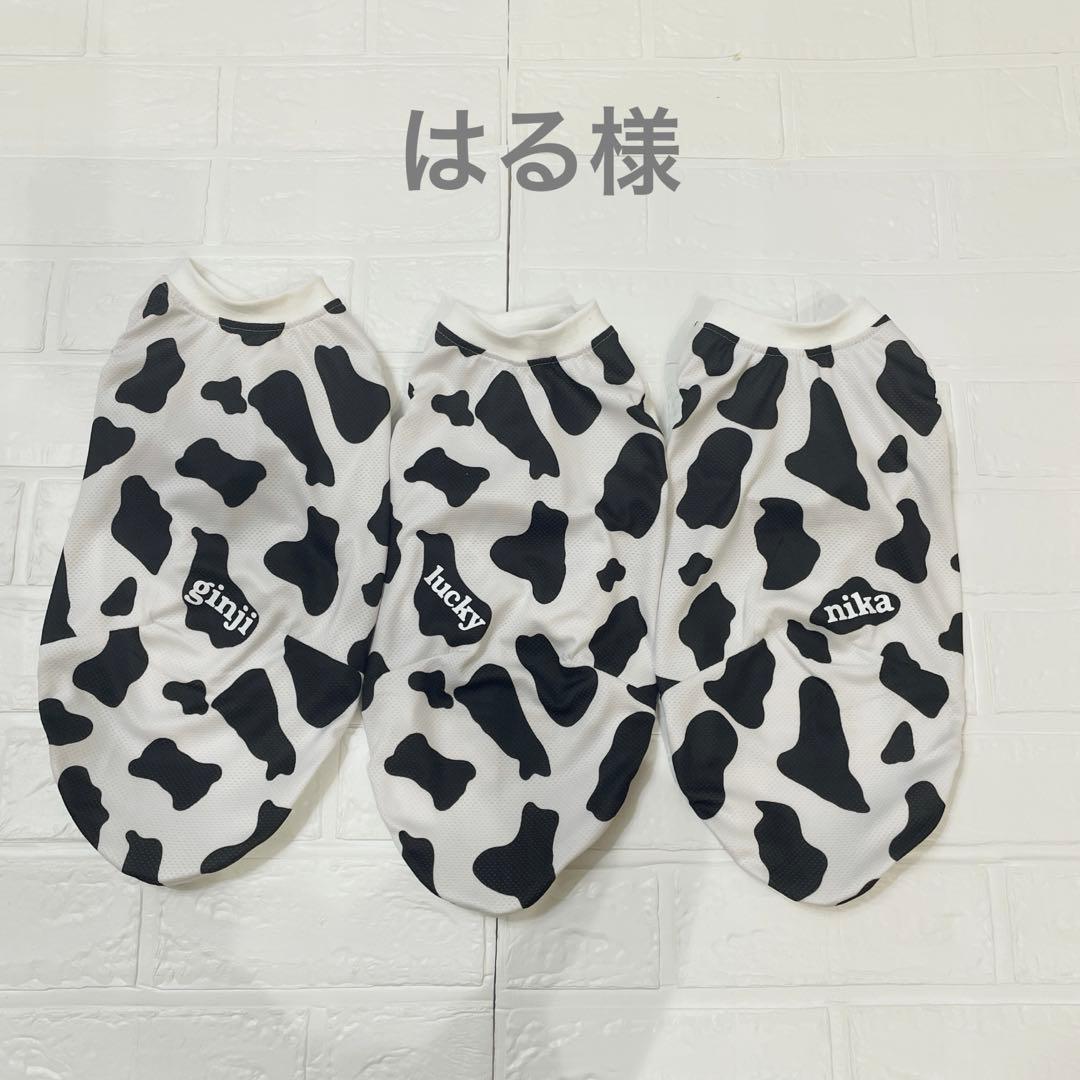 はる　イタグレ服　ハンドメイド