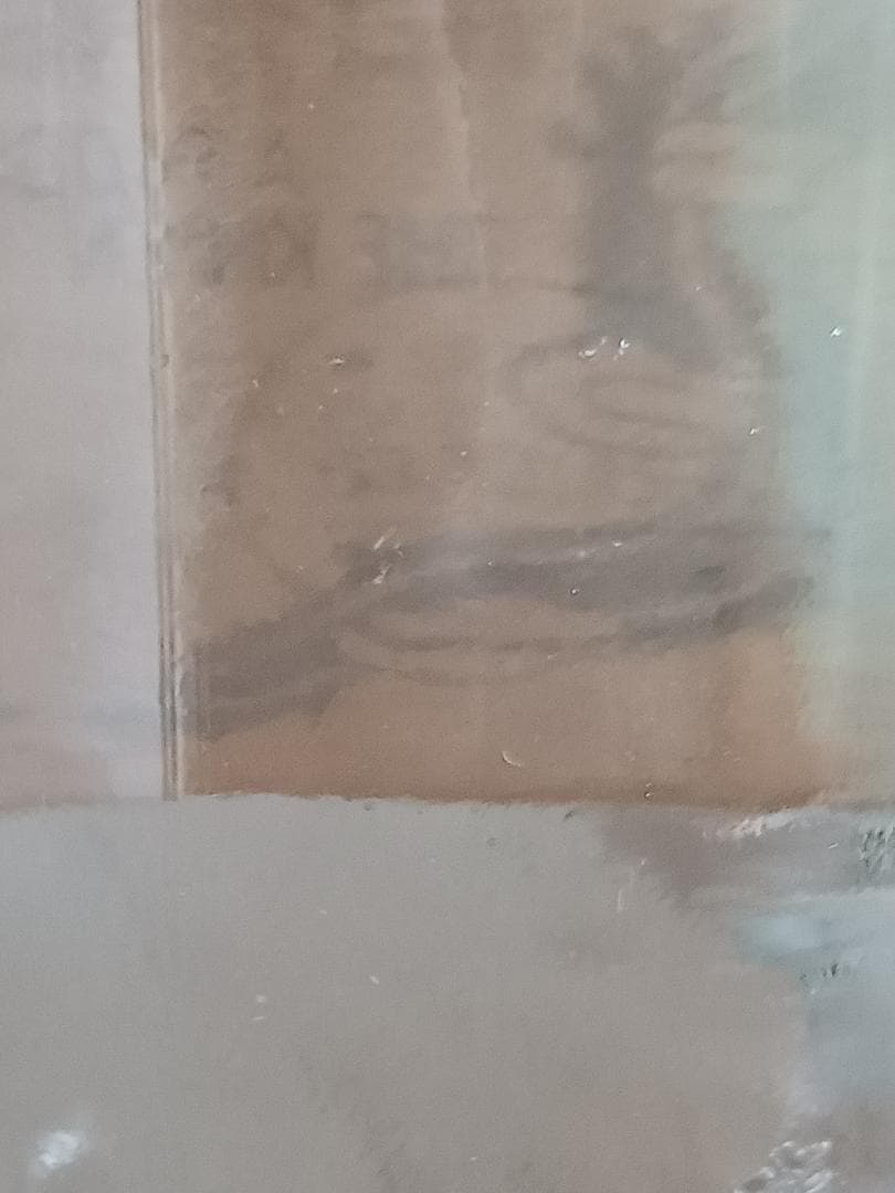 金門特級高粱酒 民国63年(西暦1974年) 白酒 中国酒 貴州茅台酒 五粮液