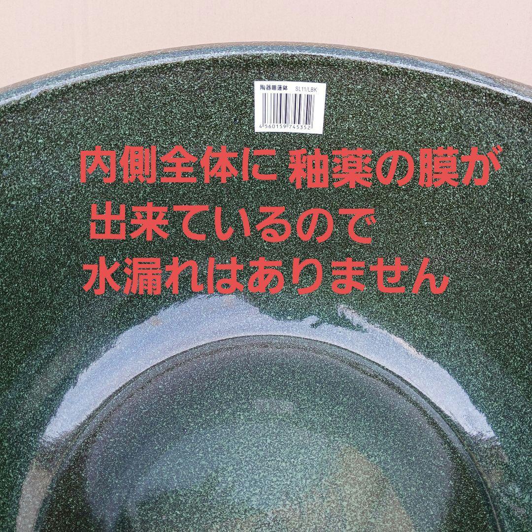 新品　特大51x49　陶器睡蓮鉢　メダカ鉢　難有　エメラルドグリーン　緑黒LBK