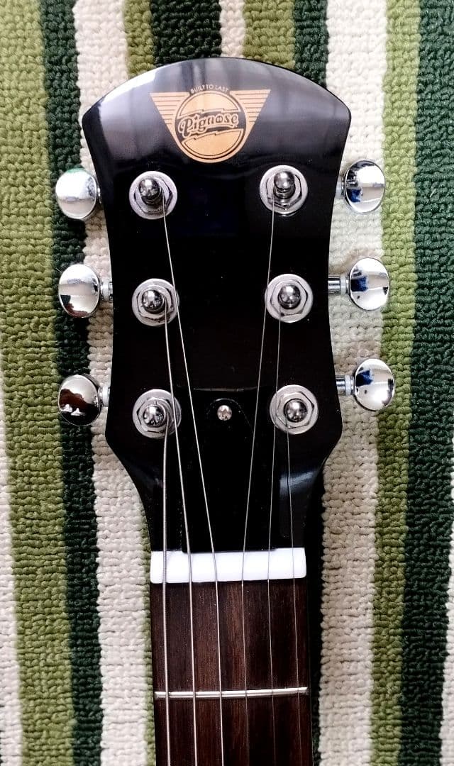 ピグノーズ　ＰＧＧ２００FM（SBK）