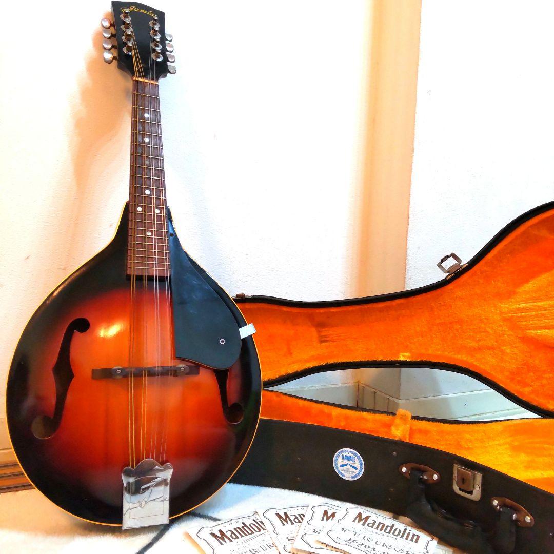 JUMBO 田原楽器　TAHARA　フラットマンドリン　弦楽器 ジャンボ