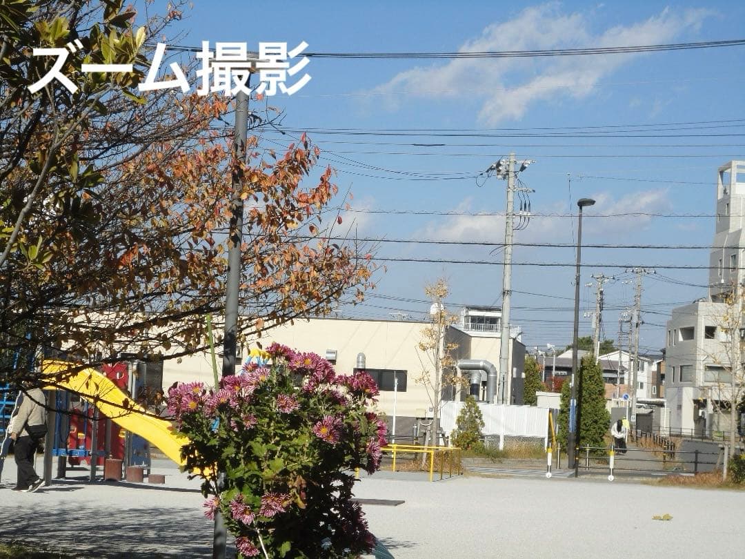 実写美⭕️【動作確認済】SONY Cyber−Shot DSC-W350