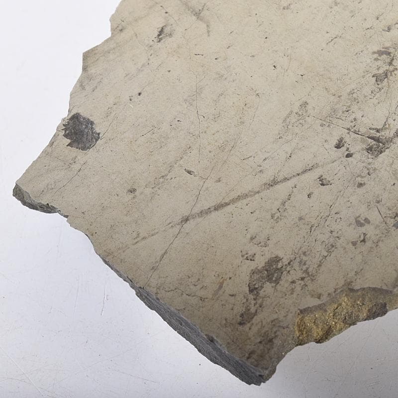 天然石　鑑賞石　伊州産　鏡石　置物　約778g　時代箱付　V　R8602