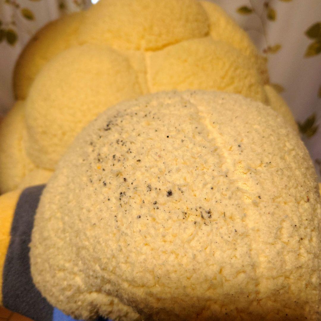 ポケモンセンター　オリジナル　等身大メリープ　ぬいぐるみ