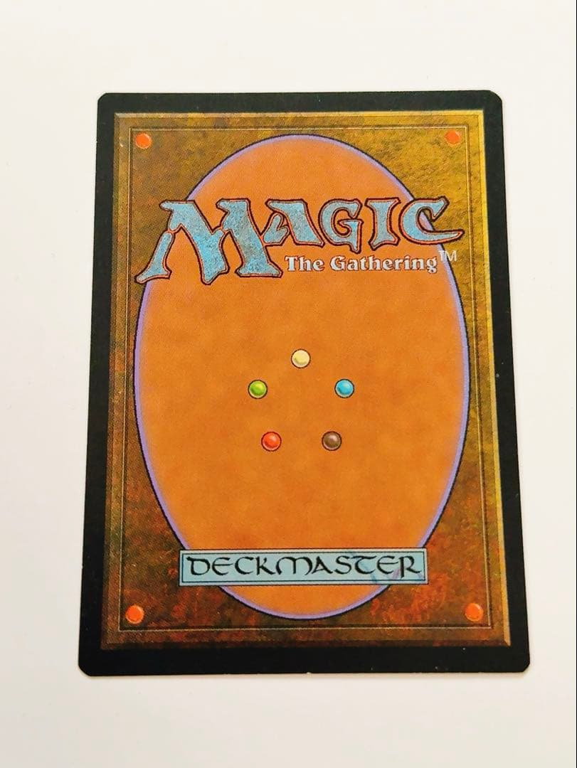 【美品】浅すぎる墓穴　英語