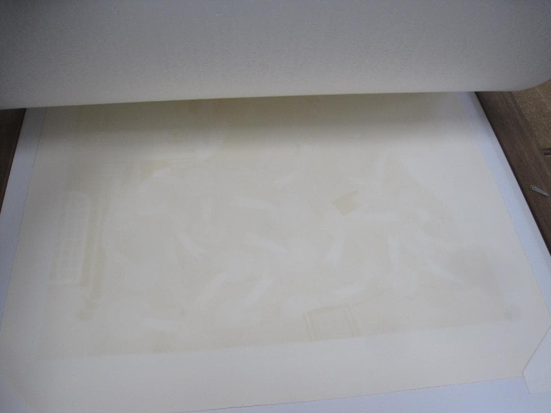 奥津国道 プチ シャポー リトグラフ 婦人画 163/180