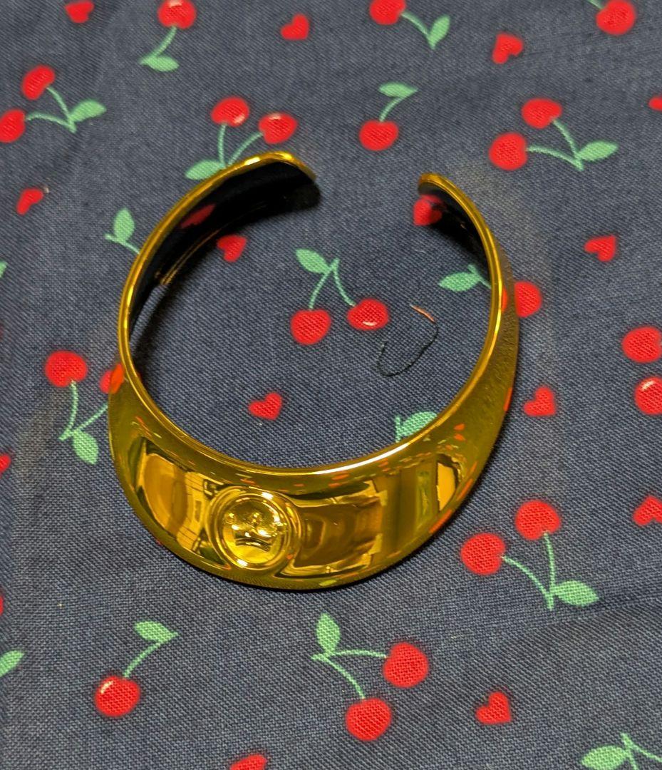 希少 aibo プレミアムプラン アイボ 限定首輪 ゴールドカラー