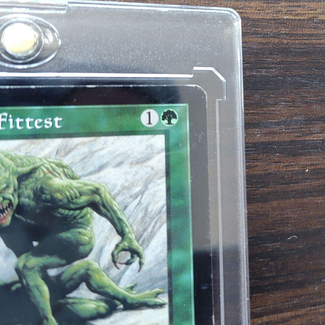 適者生生存　MagicTheGathering　 英語版