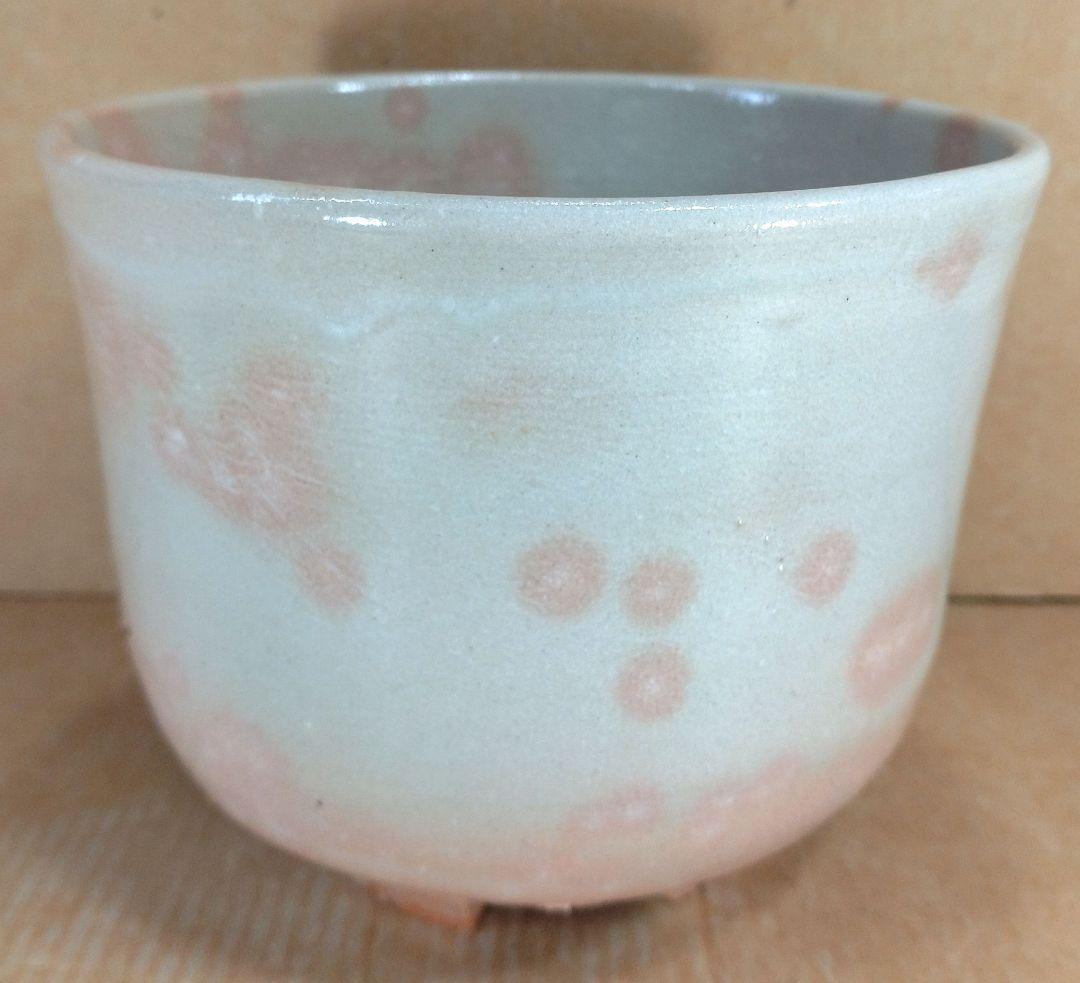 杉本貞光 五本亀茶碗 大徳寺511世 立花大亀 好書付 共箱 栞2 寺垣外 美品