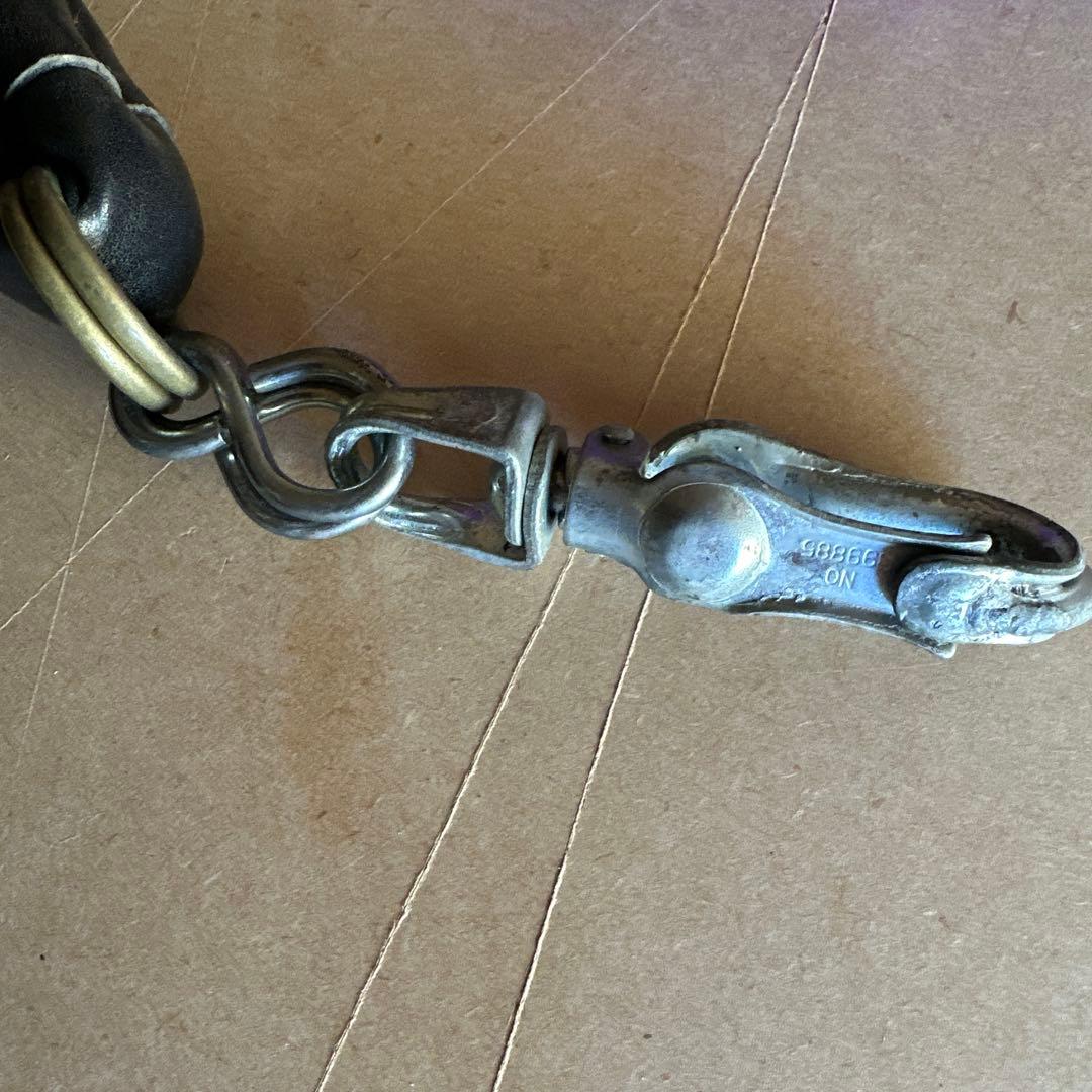 土佐犬　土佐闘犬　超大型犬　引き綱　紫