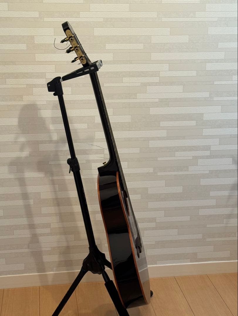 ギター aNueNue/aNN-LN77E