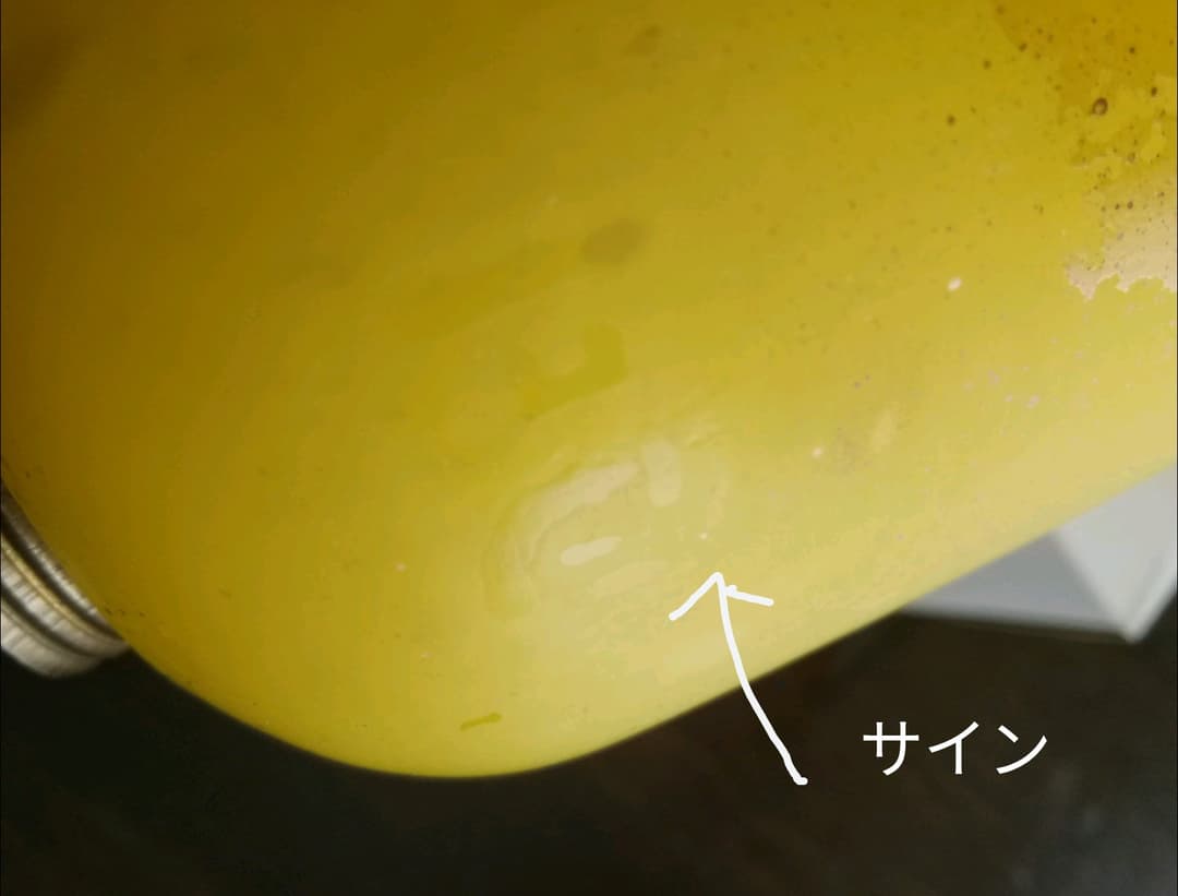 逸品アンドレ·ドラット　ヴィトリフィカシオン　彩色ブロンズ　ライト　アンティーク