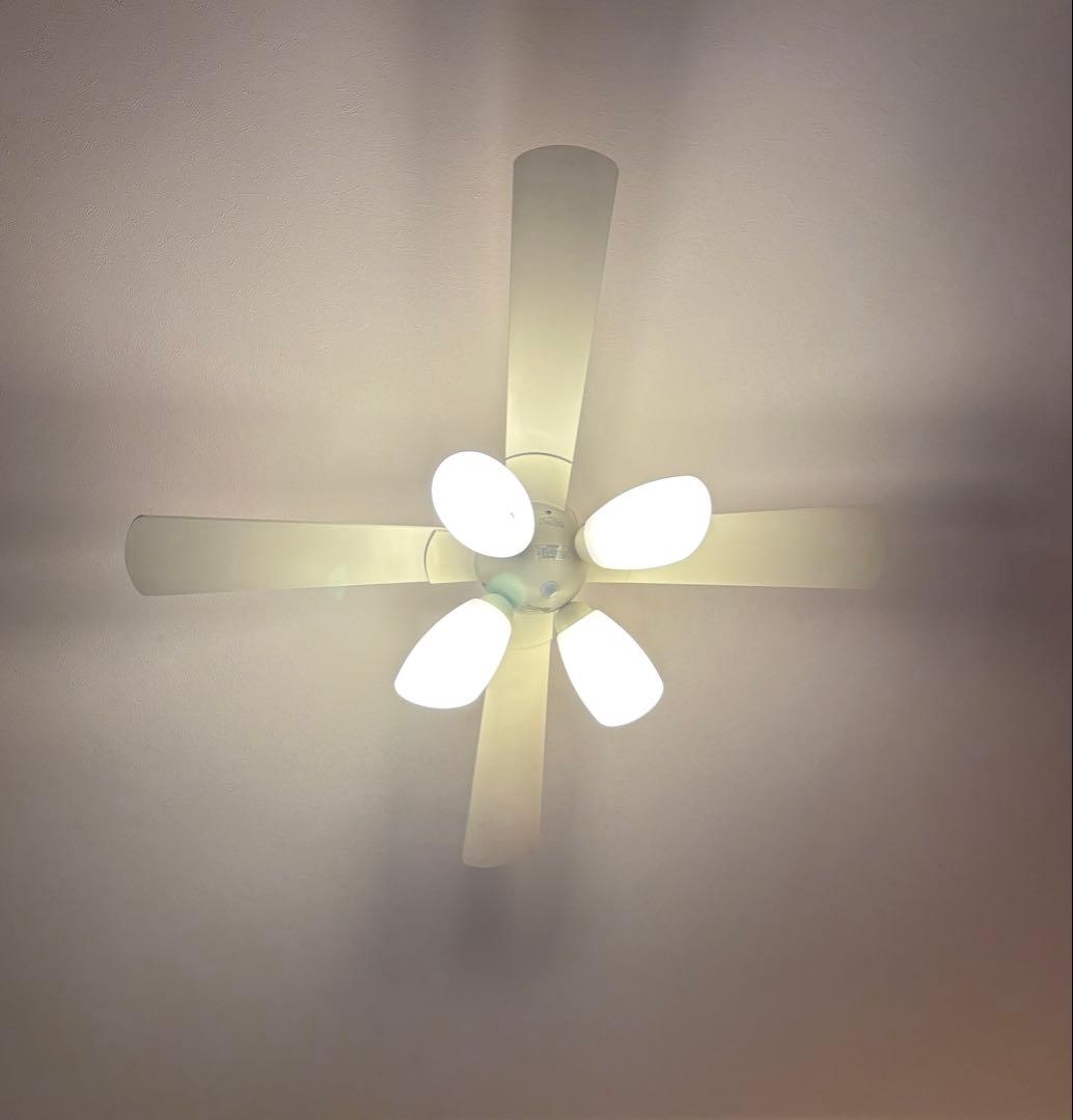 コイズミ　シーリングファン