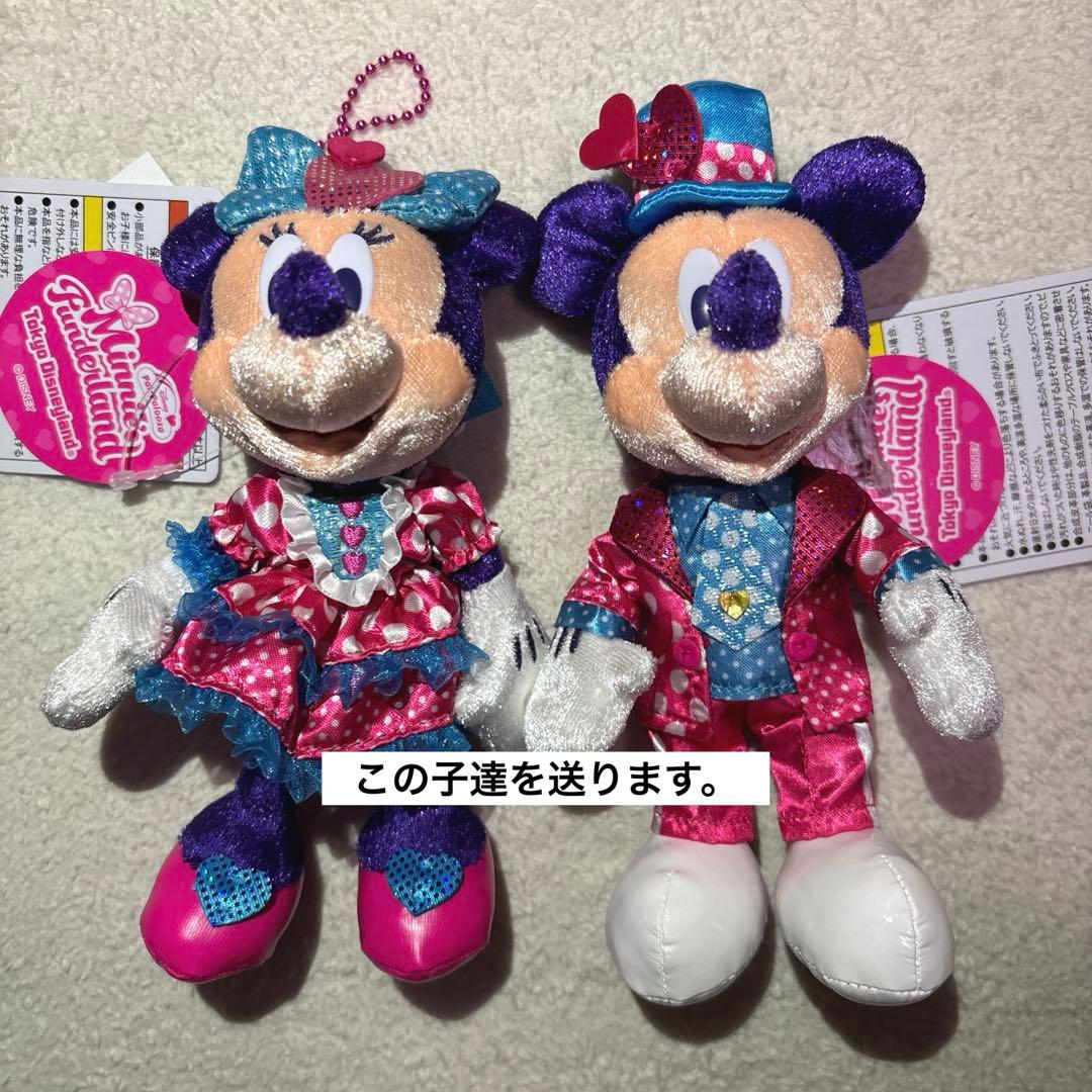 2026 パルパルーザ ミニーのファンダーランド ミッキー ミニー ぬいばセット