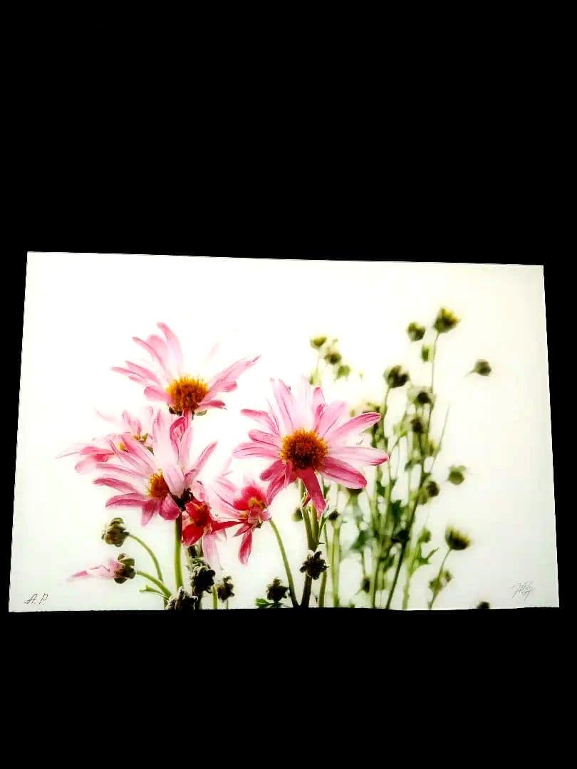 アーティストの証明写真