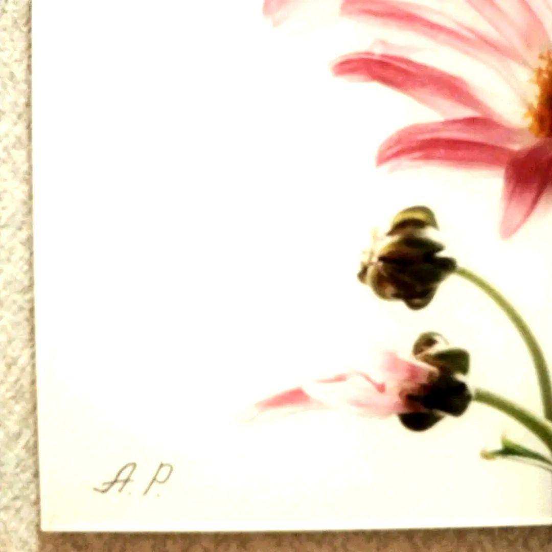 アーティストの証明写真