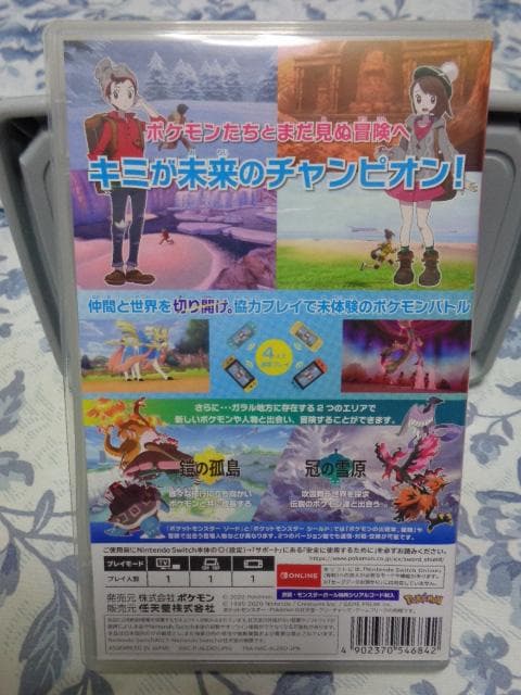 ポケットモンスター ソード + エキスパンションパス 動作可能