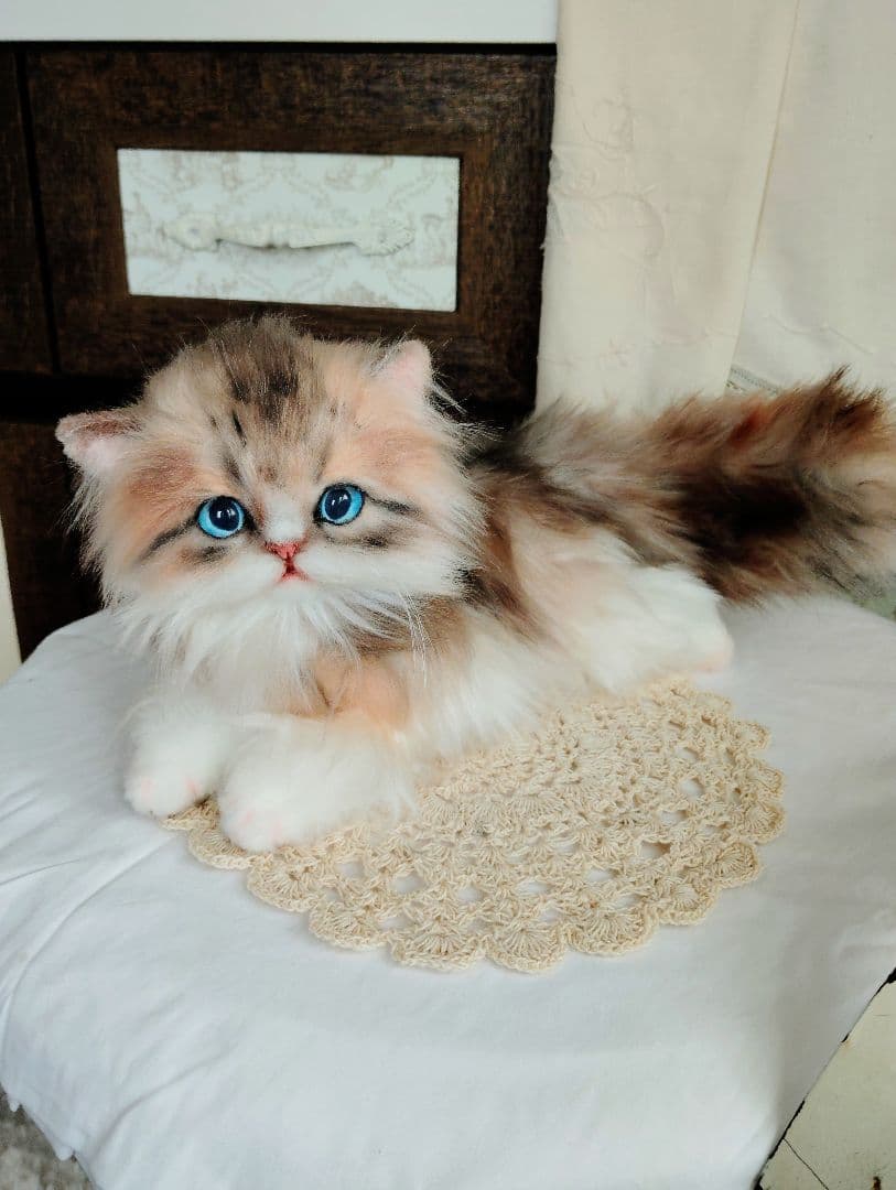 ラピちゃん御予約❤️美人ちゃん❤ブラウンタビーミヌエット子猫ちゃん❤アートドール