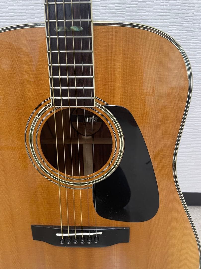 【人気！】【美品】モーリス Ｍorris MD-525 [トップ単板]