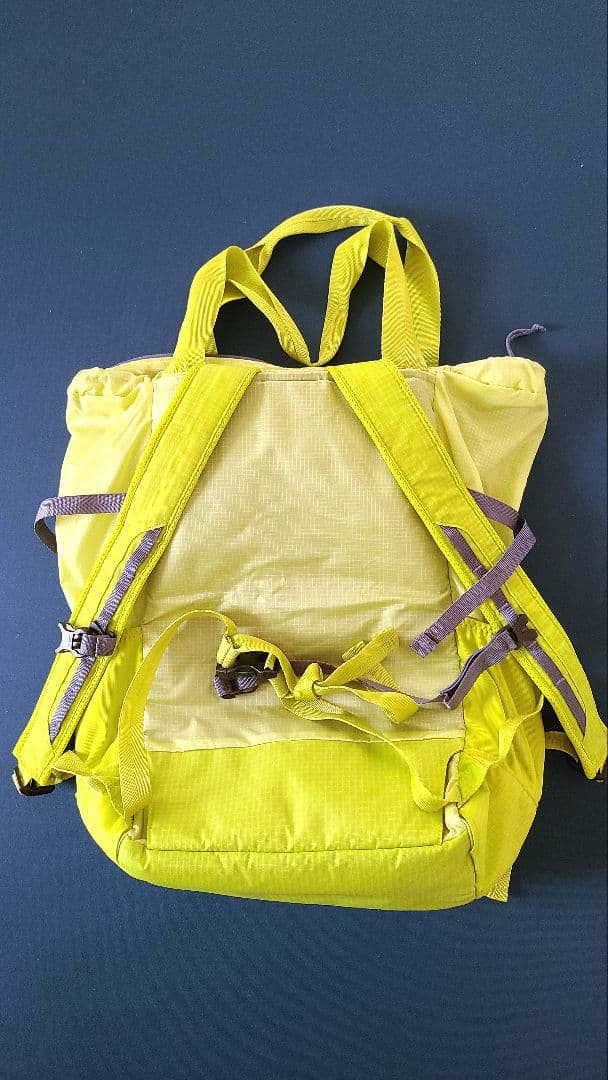 Patagonia ライトウェイト トラベルトート