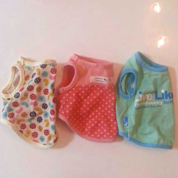 チワワサイズ　ペット服