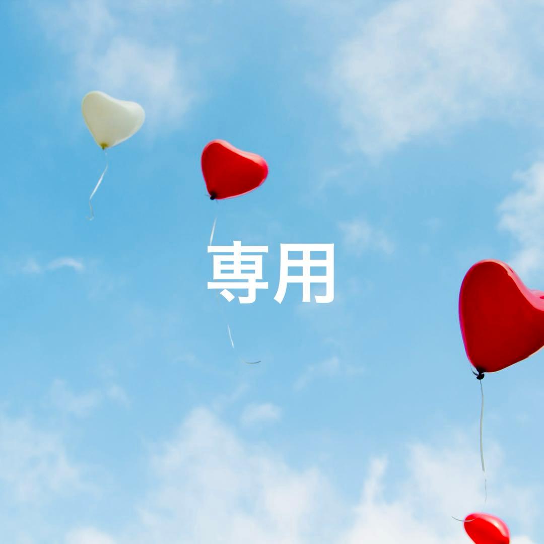 【みー様】ニナファーム アクティアージュエフェクティブ＋ヴィブランセラムプリュス