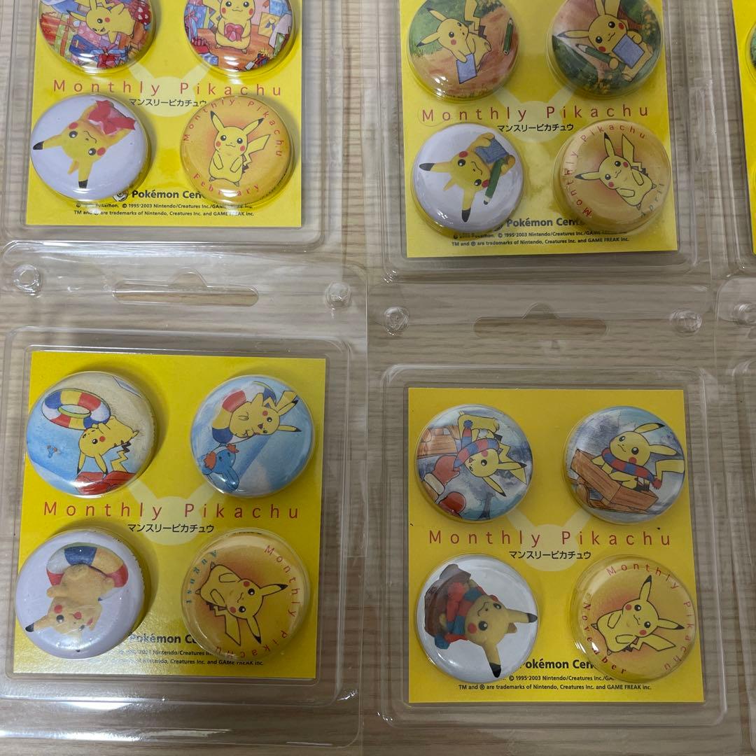 Monthly Pikachu ピンズ 12個セット　ポケモンセンター　2003