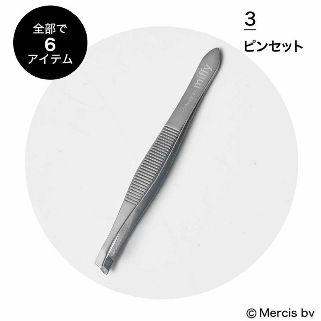ちゅん太 管理 21 InRed インレッド 3月号 付録 ②