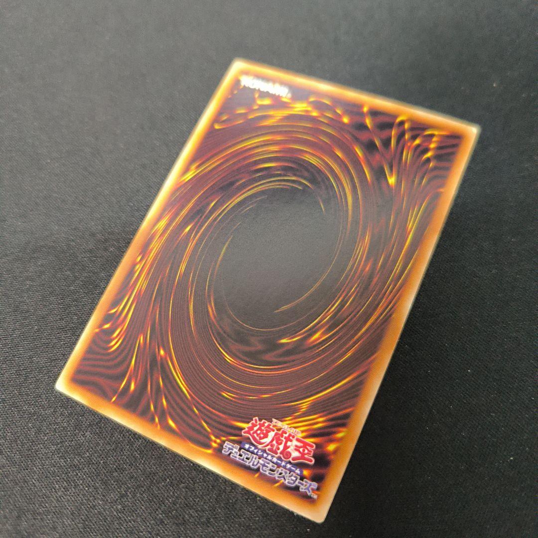 遊戯王 ブランク エラーカード ドラゴエクティス