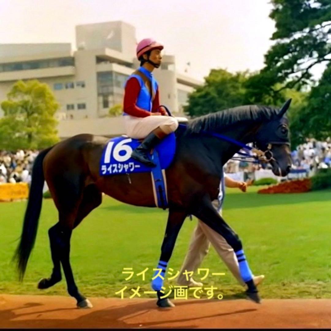 未開封美品！ライスシャワー「ウマ娘プリティーダービー S.H.Figuarts」