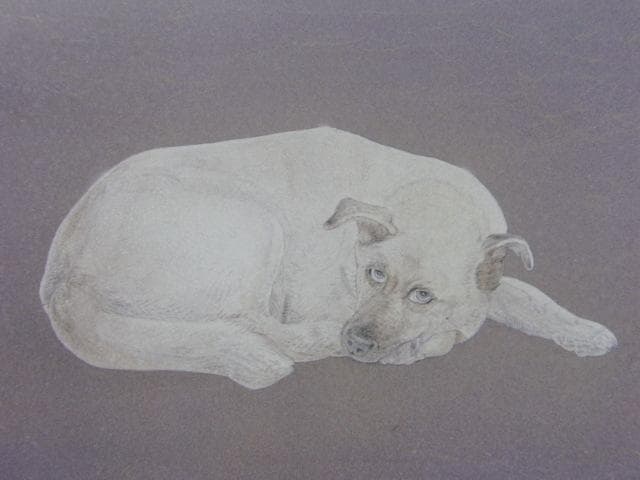 楚里清、【凛】、希少な額装用画集より、新品額装付、状態良好