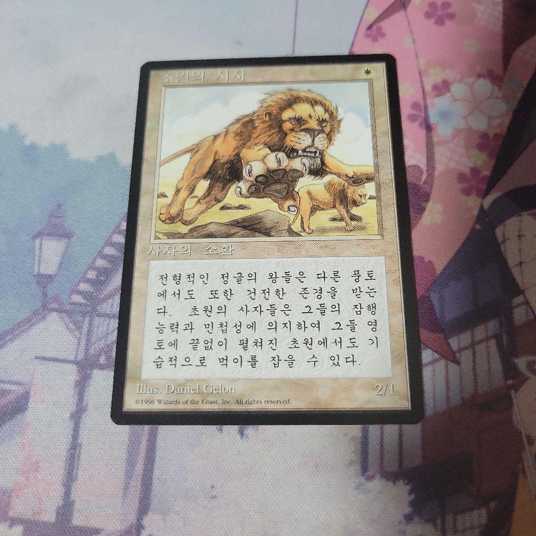 MTG サバンナ・ライオン 韓国語