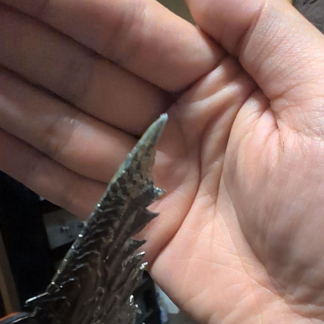 カプコンフィギュア ビルダー クリエイターズモ デル 天廻龍シャガルマガラ