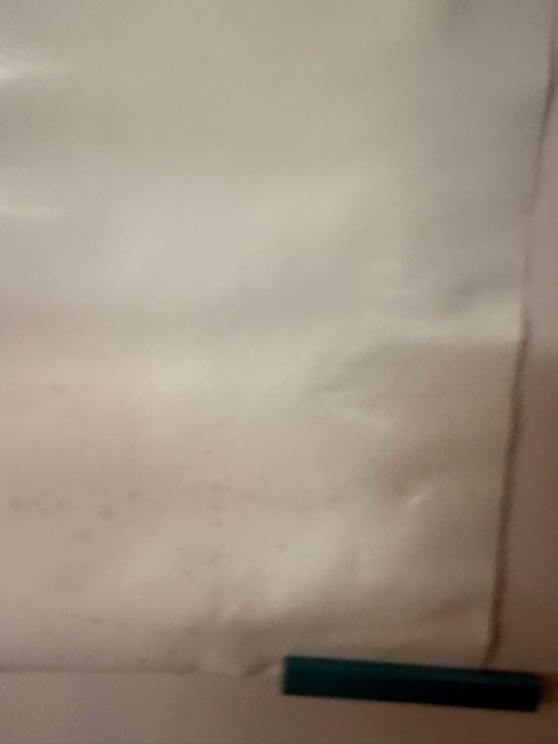 COLDPLAY VIVA LA VIDA ライブ告知ポスター