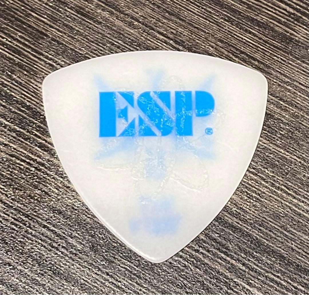 HEY-SMITH YUJI 本人使用済み ピック　ヘイスミス