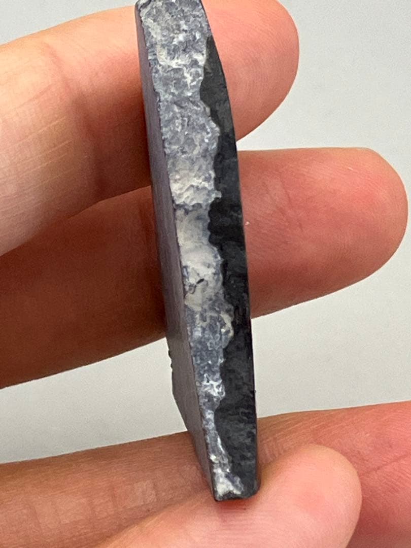 化石　原石　アンモライト　アンモナイト　カナダ産　幅4.4cm 箱付き