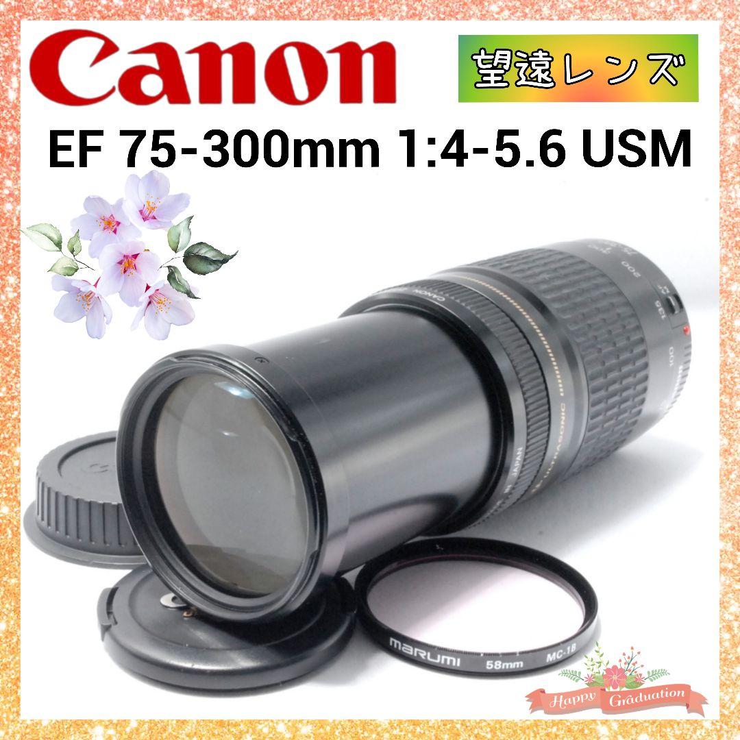 キャノン Canon EF 75-300mm 望遠レンズ 遠くの春も、すぐそばに