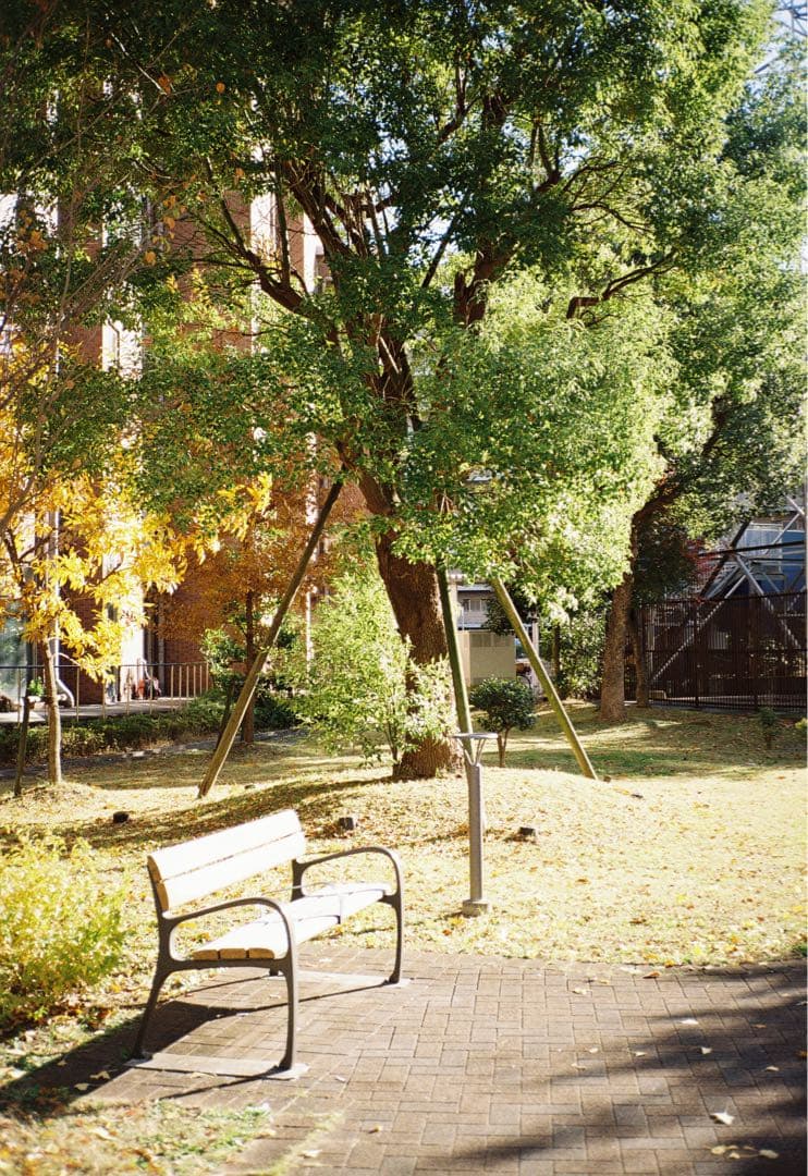 CONTAX T2 60周年記念機　作例あり