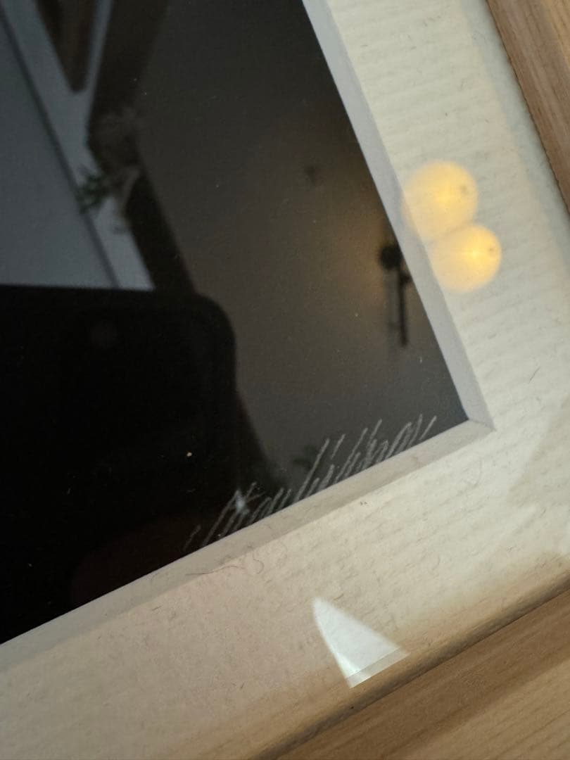 額装済み \"FOLLOW YOUR DREAMS\" リカルドゴンザレス ポスター