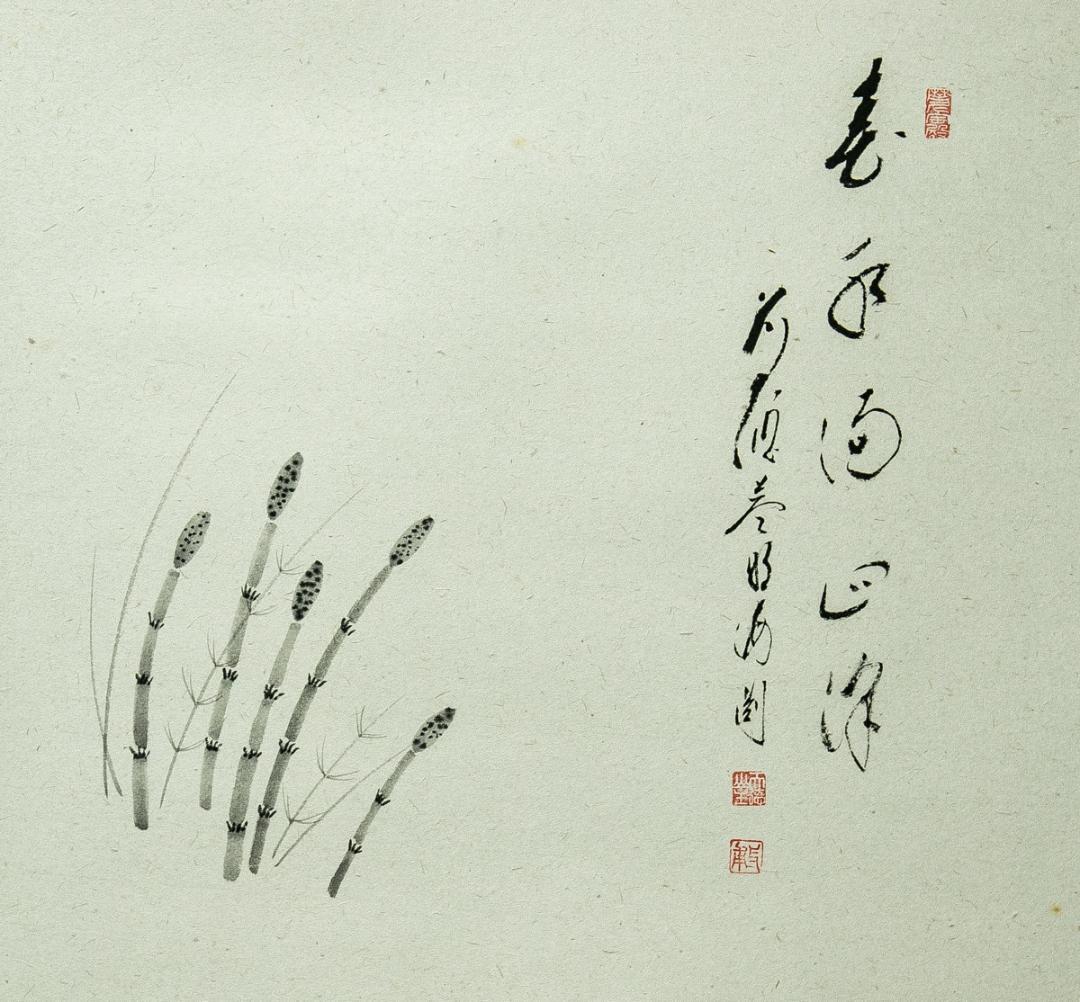 掛軸-1718　大徳寺派　矢野海渕　土筆画賛　「春色満四澤」　共箱