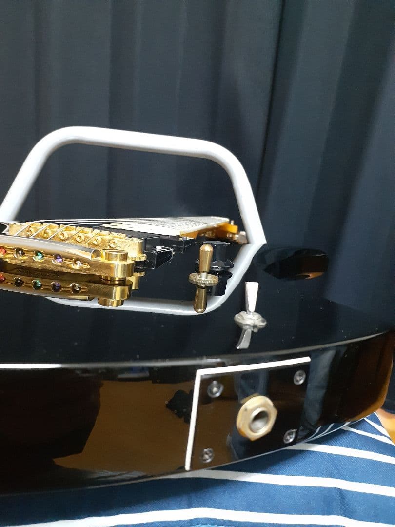 FERNANDES hide MG Burny モッキンバード　ギター