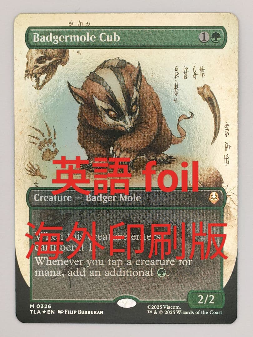 アナグマモグラの仔　foil 英語　ボーダーレス　badgermole cub