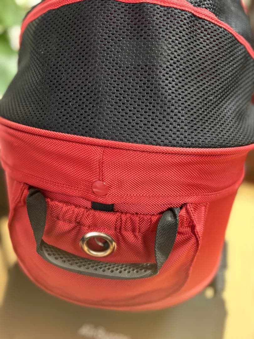 犬用AirBuggy ドーム2 レギュラーサイズ