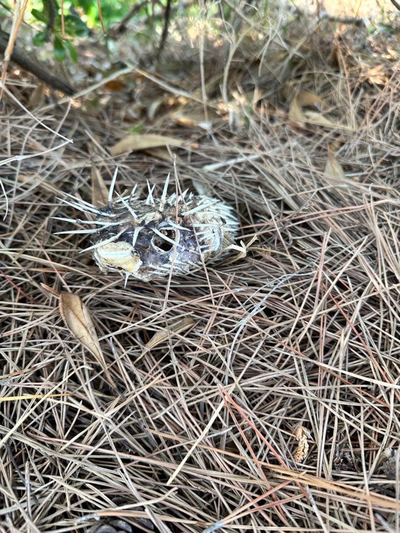 文房具・ステーショナリー M58484848484