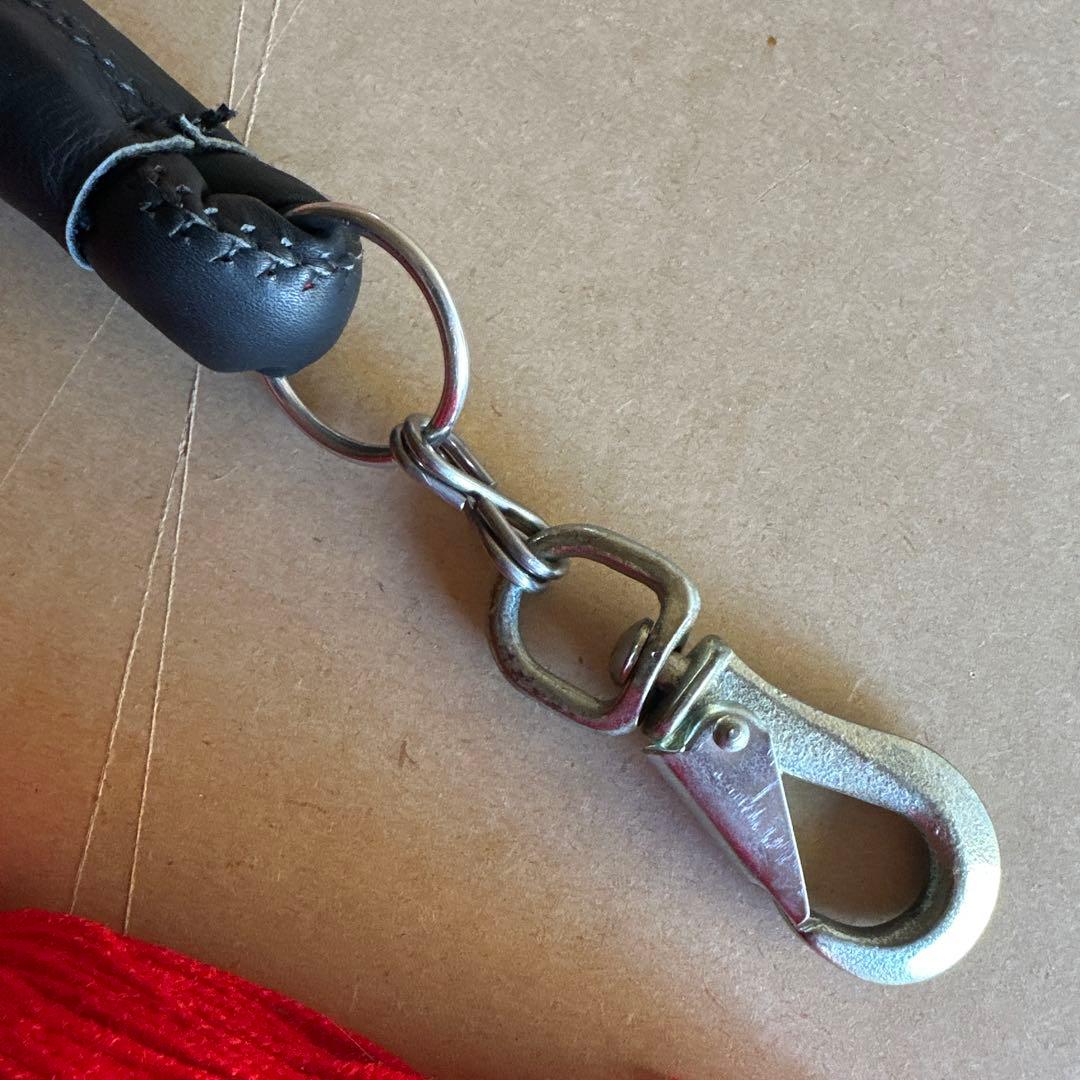 土佐犬　土佐闘犬　超大型犬　引き綱　赤