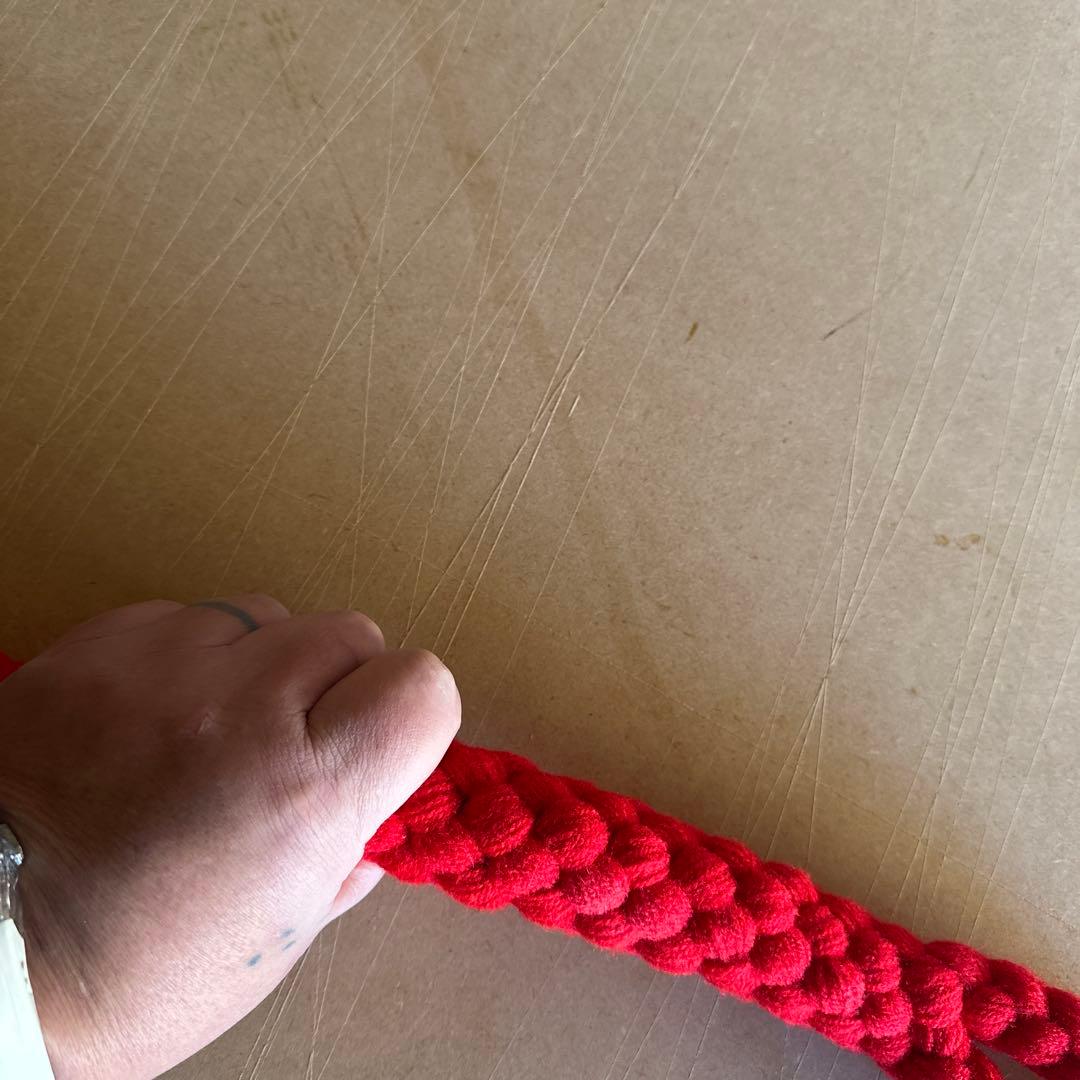 土佐犬　土佐闘犬　超大型犬　引き綱　赤