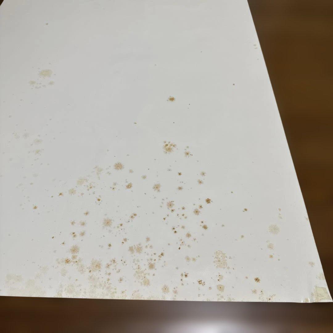 2PAC 1971-1996 大判ポスター