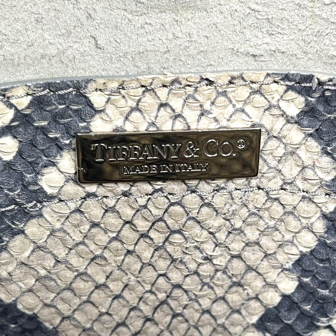 超希少 ティファニー ハンドバッグ リアルパイソンレザー ロゴ金具