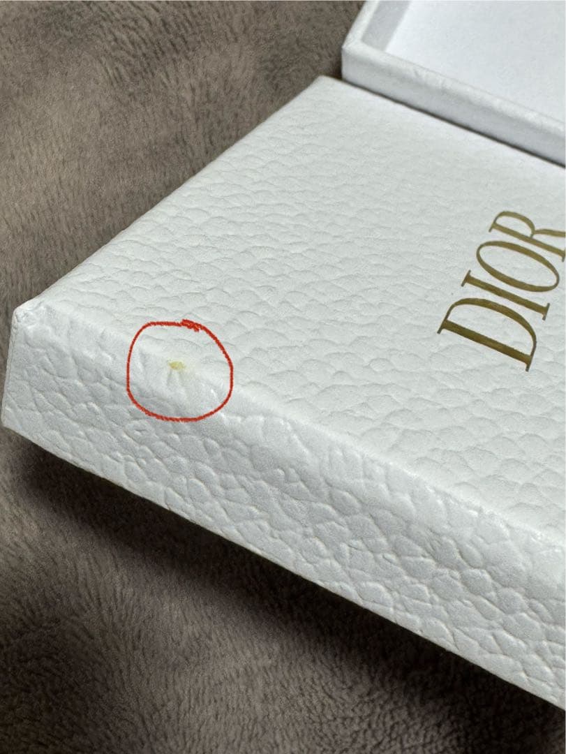 【正規品】DIOR 両耳ピアス (箱、布入れ物付き)