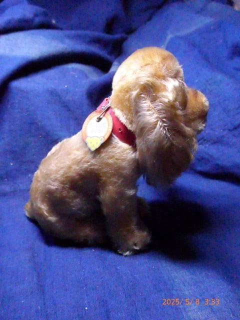 シュタイフのとても貴重な50年代から60年代の犬のぬいぐるみです